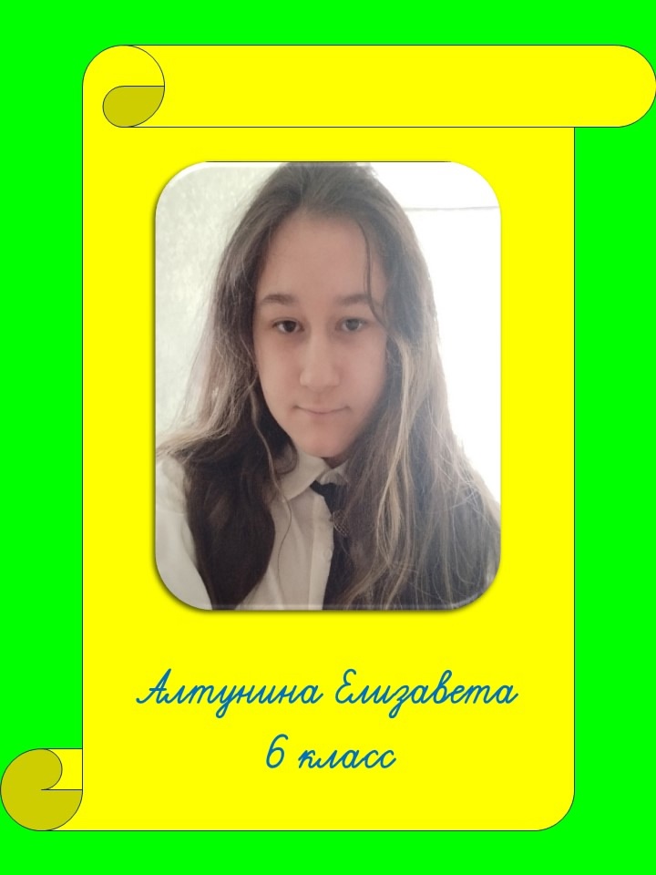 Алтунина Елизавета.